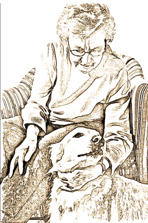 https://www.seleccionesveterinarias.com/files/