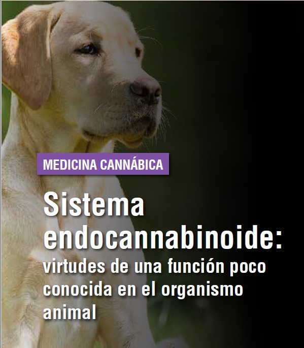 https://www.seleccionesveterinarias.com/files/