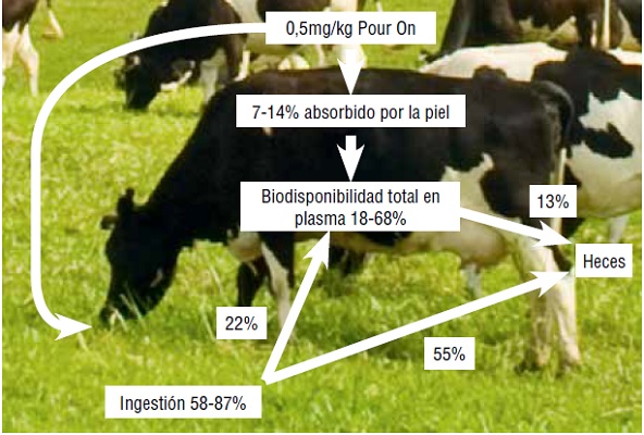 https://www.seleccionesveterinarias.com/files/